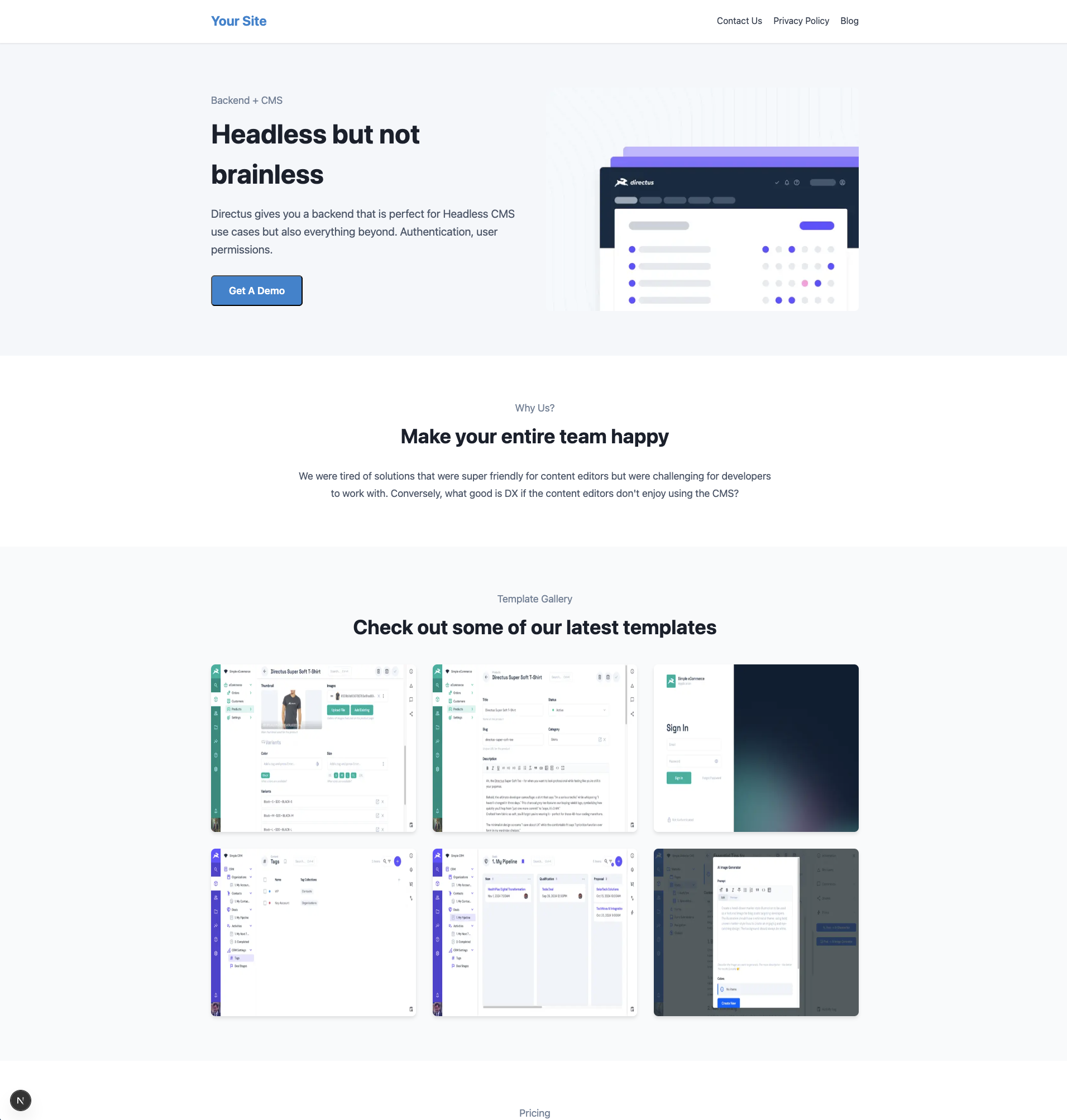 Preview of the CMS homepage